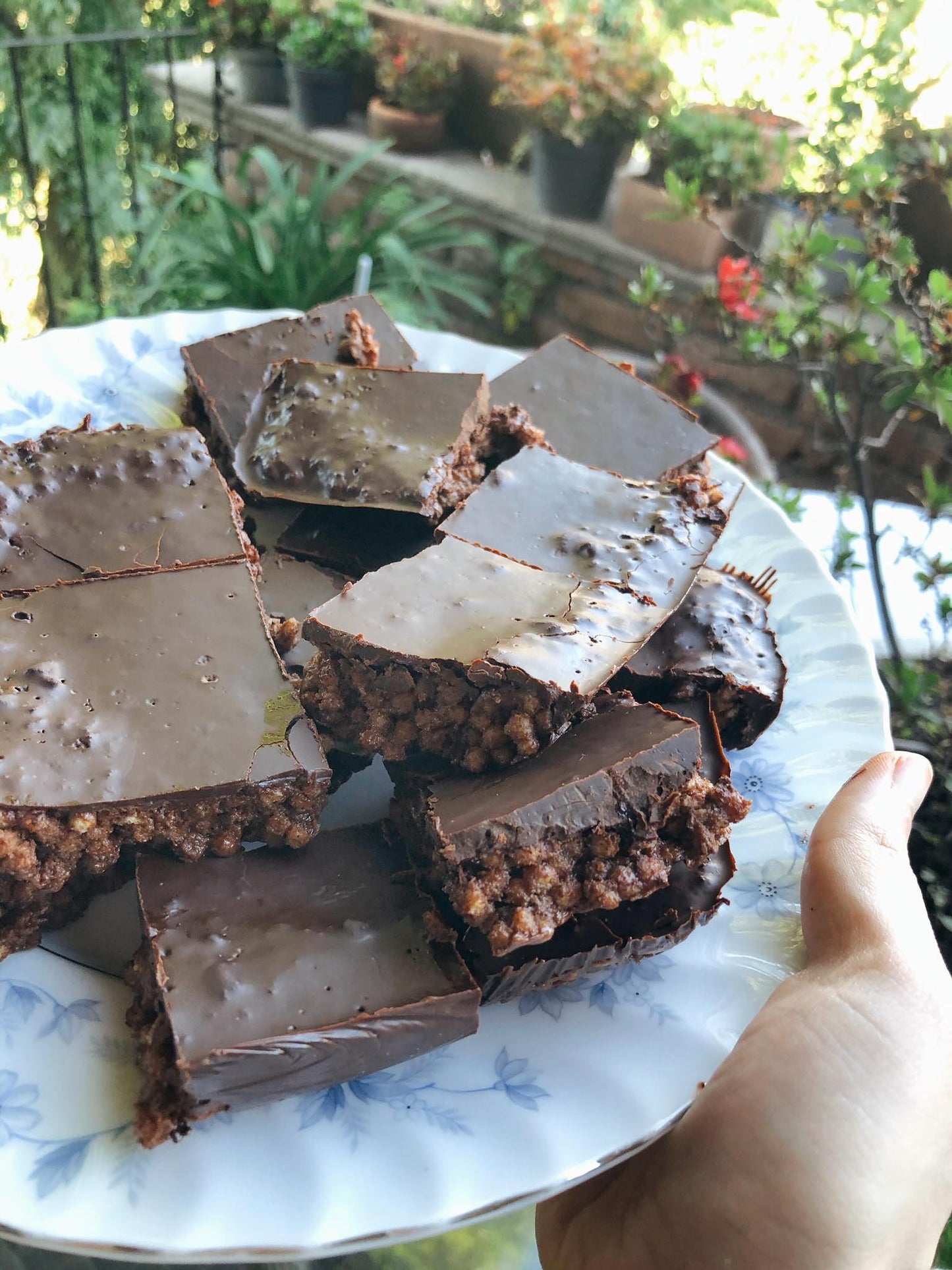 QUINOA SQUARES